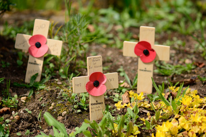 Remembrance cross with poppy
