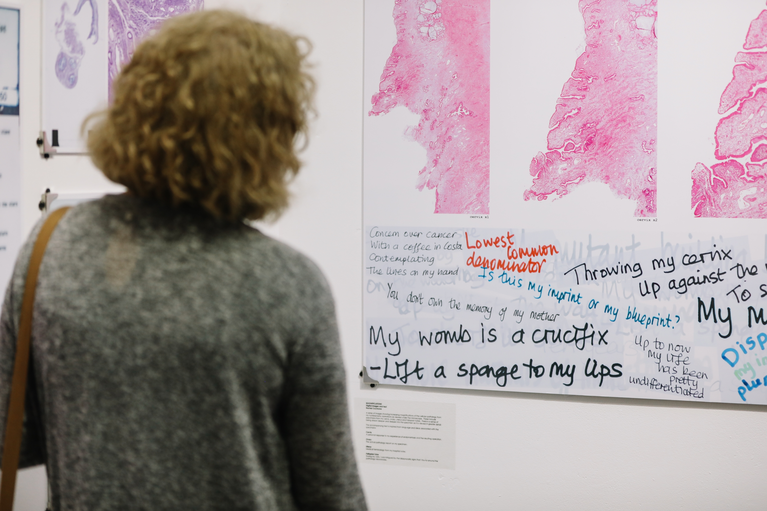 Women: a Cartography exhibition